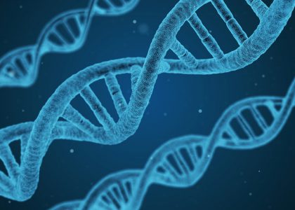 A 3d graphic of a DNA strain.