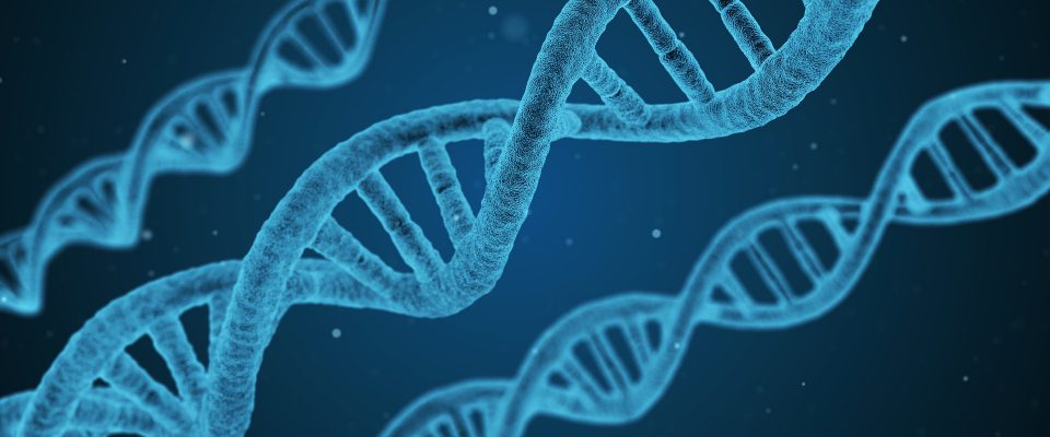 A 3d graphic of a DNA strain.